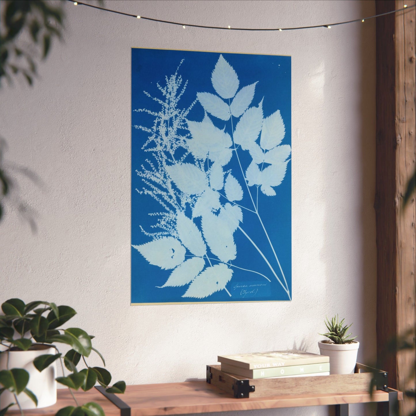 Spiraea Aruncus (Tyrol) Cyanotype - Anna Atkins - Wall Poster Print