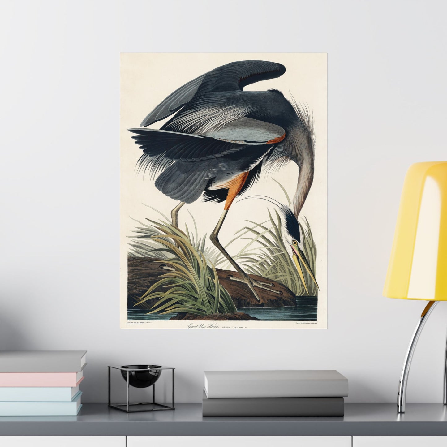 Great Blue Heron (Birds of America) - John James Audubon - Wall Poster Print