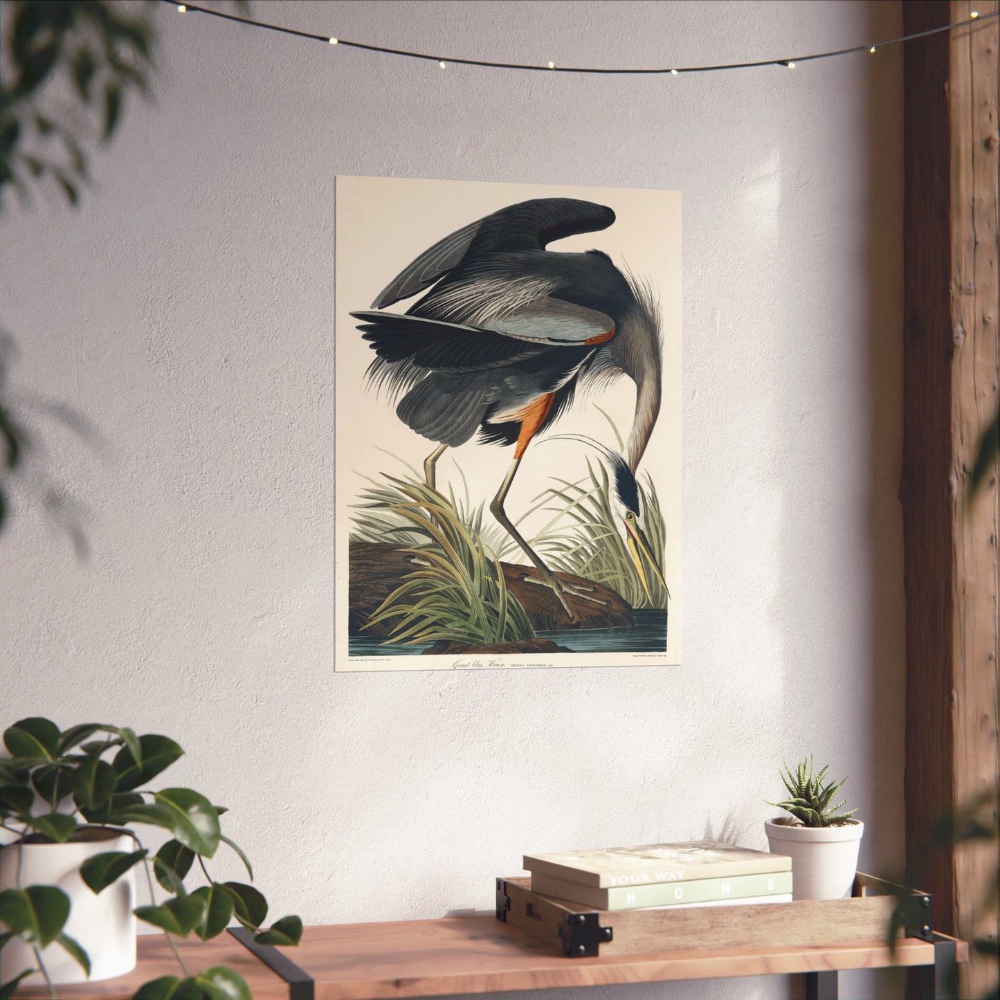 Great Blue Heron (Birds of America) - John James Audubon - Wall Poster Print