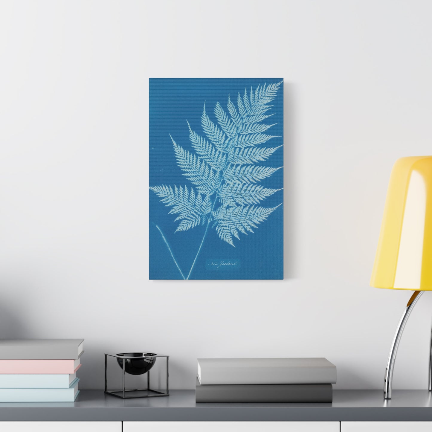 New Zealand Fern Cyanotype - Anna Atkins - Stretched Canvas Print