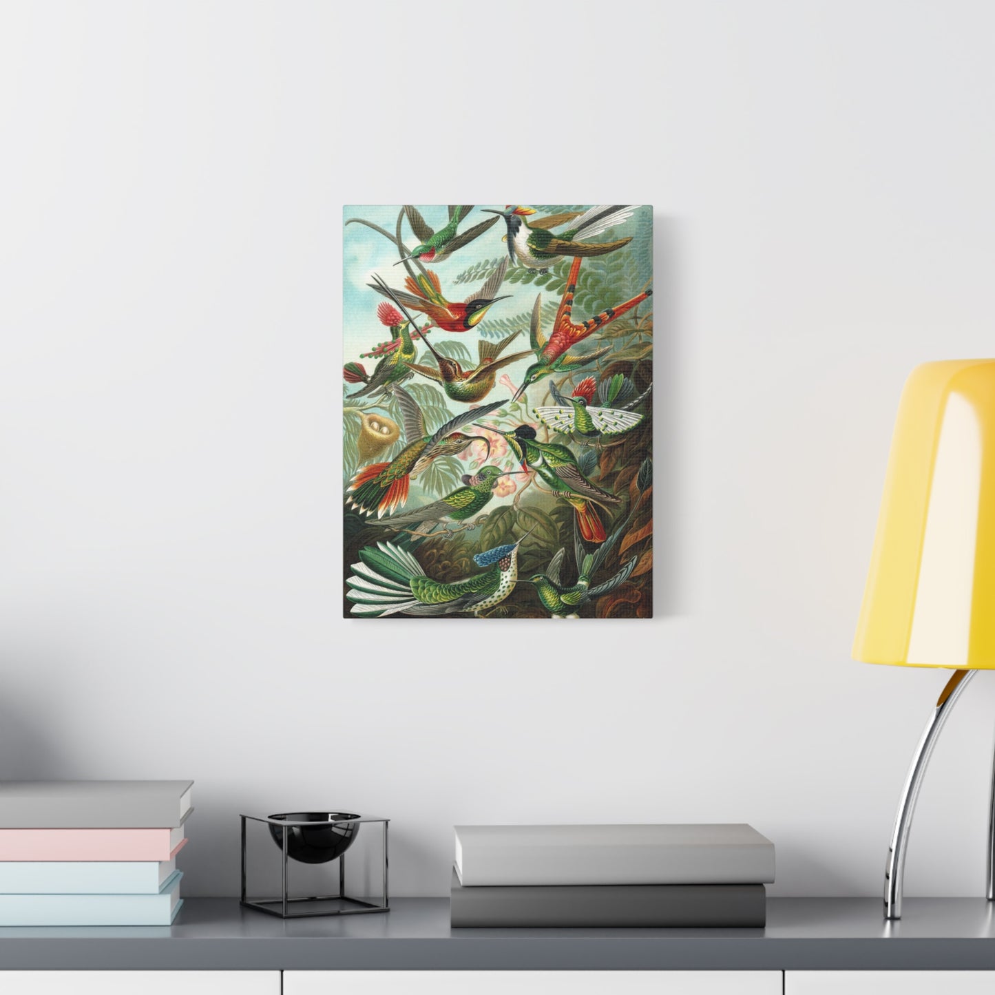 Trochilidae (Hummingbirds) - Ernst Haeckel (1904) - Stretched Canvas Print