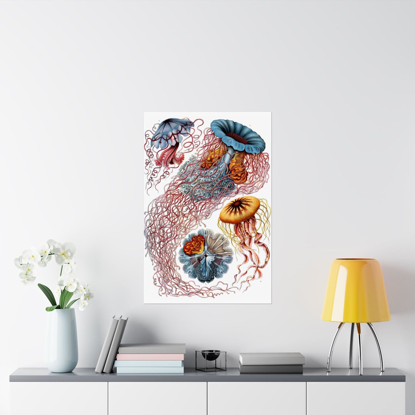 Discomedusae (Jellyfish) - Ernst Haeckel (1904) - Wall Poster Print