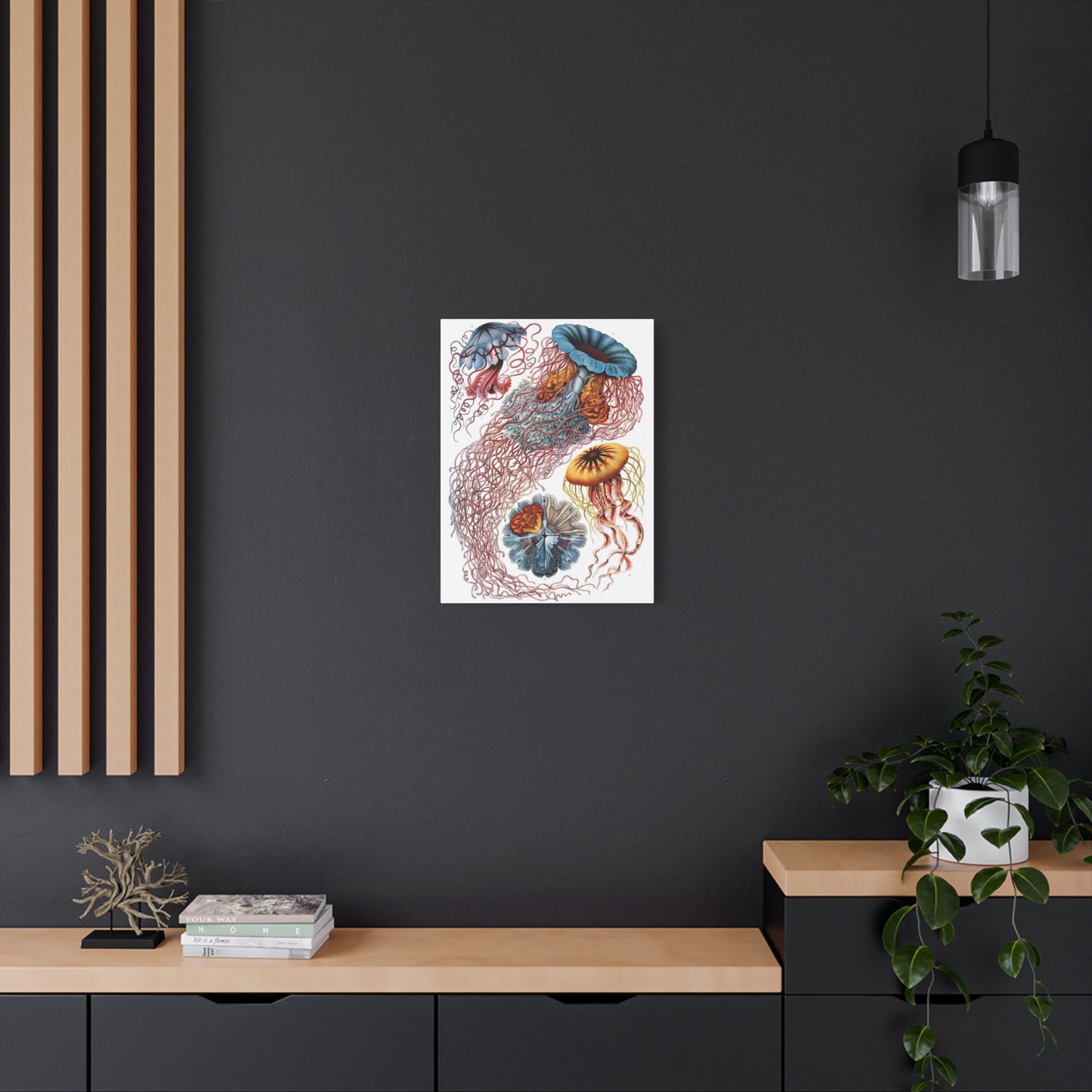 Discomedusae (Jellyfish) - Ernst Haeckel (1904) - Stretched Canvas Print