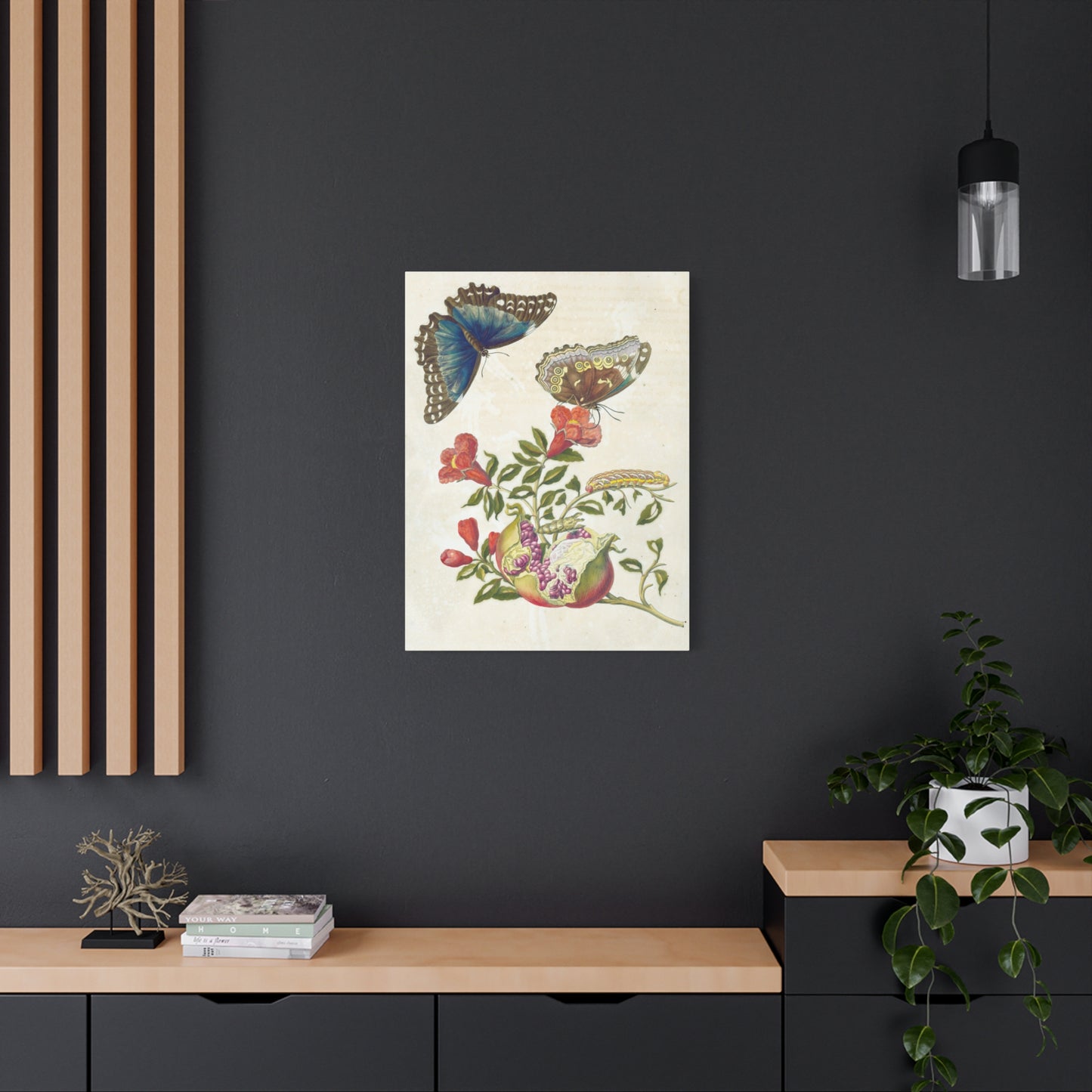 Metamorphosis Insectorum Surinamensium - Maria Sibylla Merian - Stretched Canvas Print