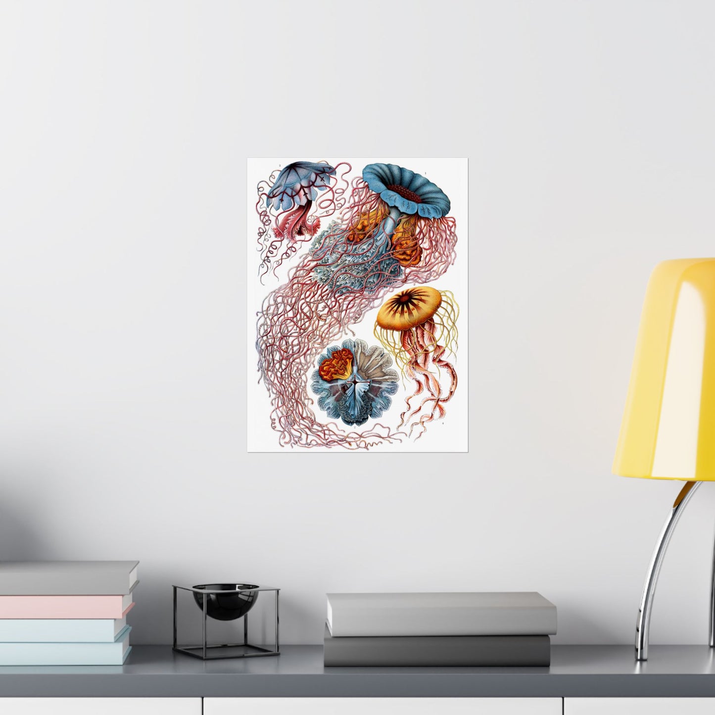 Discomedusae (Jellyfish) - Ernst Haeckel (1904) - Wall Poster Print