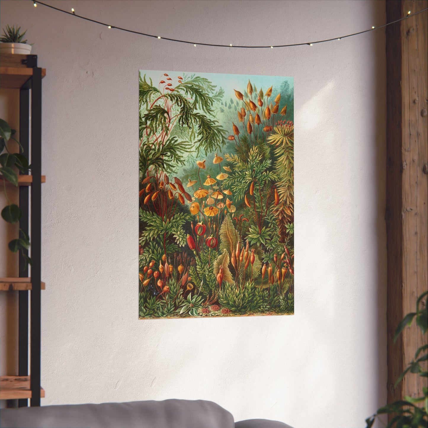 Muscinae (Mosses) - Ernst Haeckel (1904) - Wall Poster Print