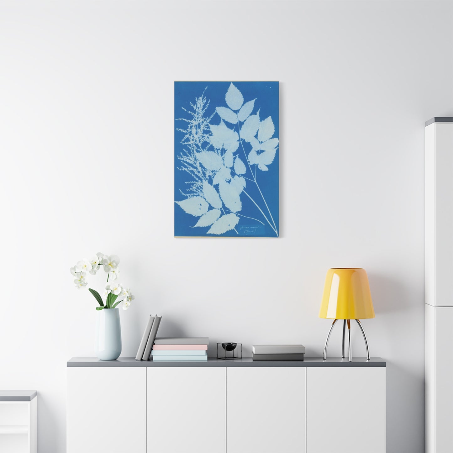 Spiraea Aruncus (Tyrol) Cyanotype - Anna Atkins - Stretched Canvas Print
