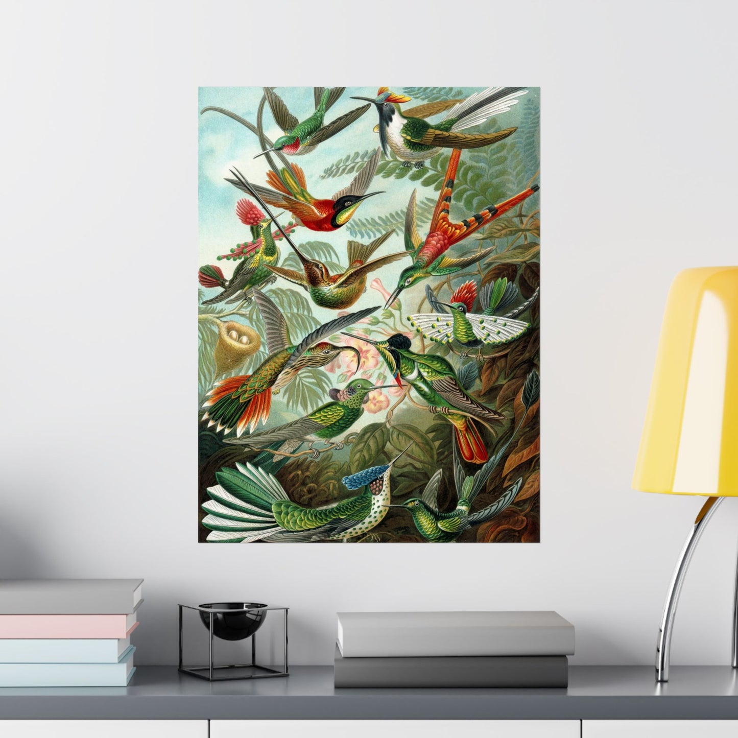 Trochilidae (Hummingbirds) - Ernst Haeckel (1904) - Wall Poster Print