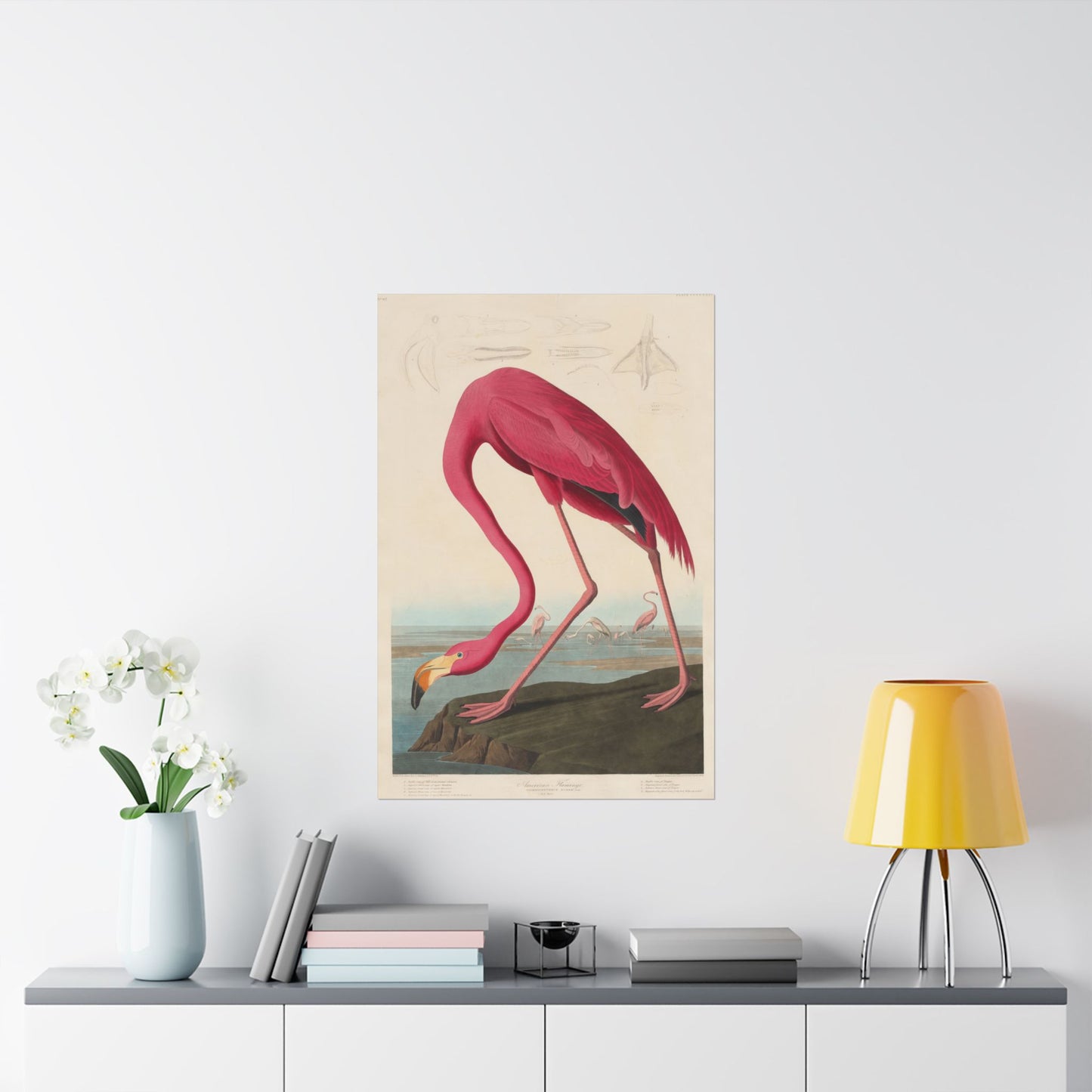 American Flamingo (Birds of America) - John James Audubon - Wall Poster Print