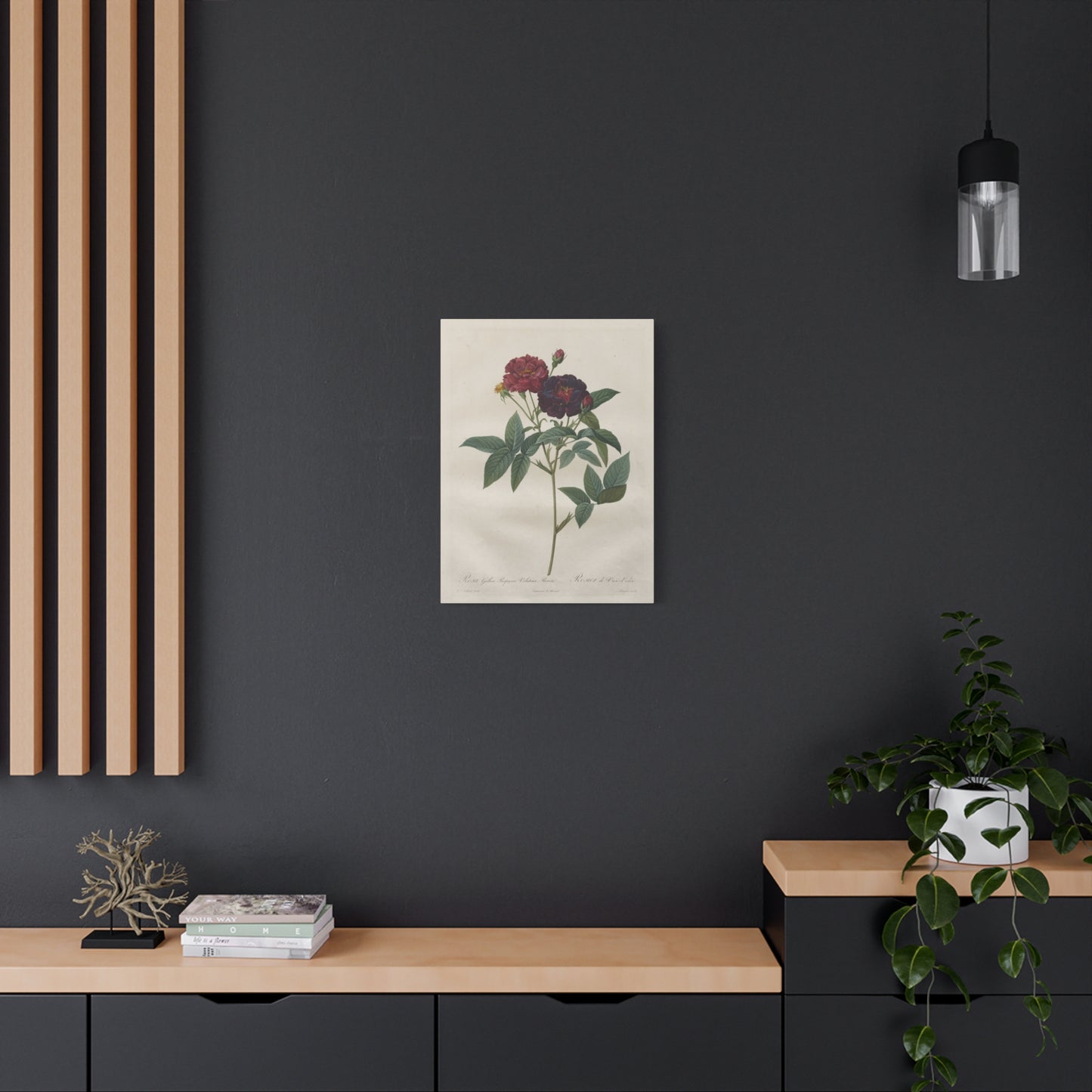 Rosa Gallica Purpurea Velutina Parva (Rosier de Van-Eeden) - Pierre-Joseph Redouté - Stretched Canvas Print